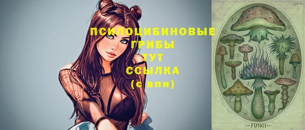 шишки Зеленодольск
